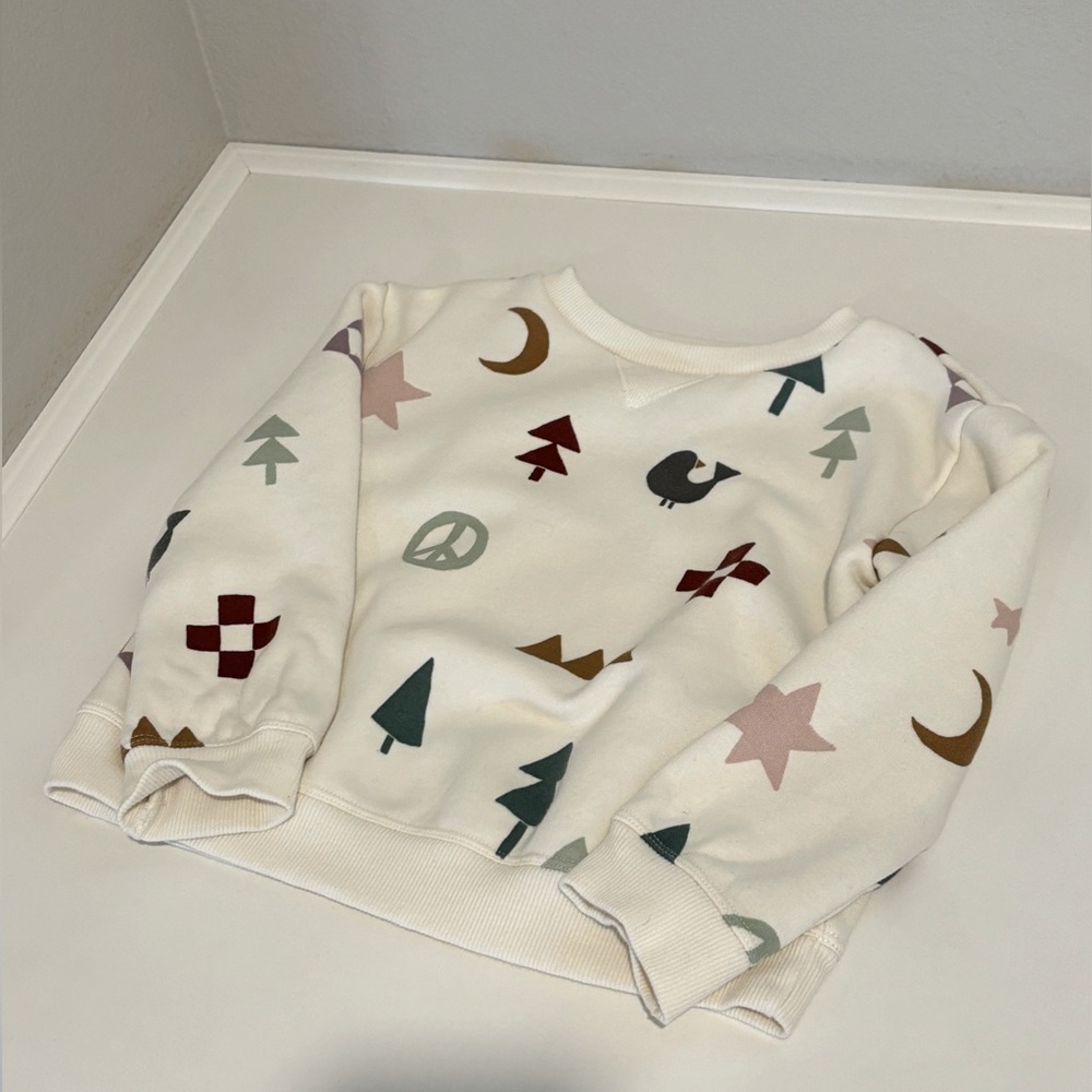 LC little co sweatshirt